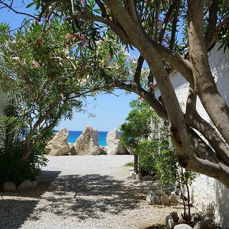 Villaggio Paradiso Del Sub Zambrone Eksteriør bilde